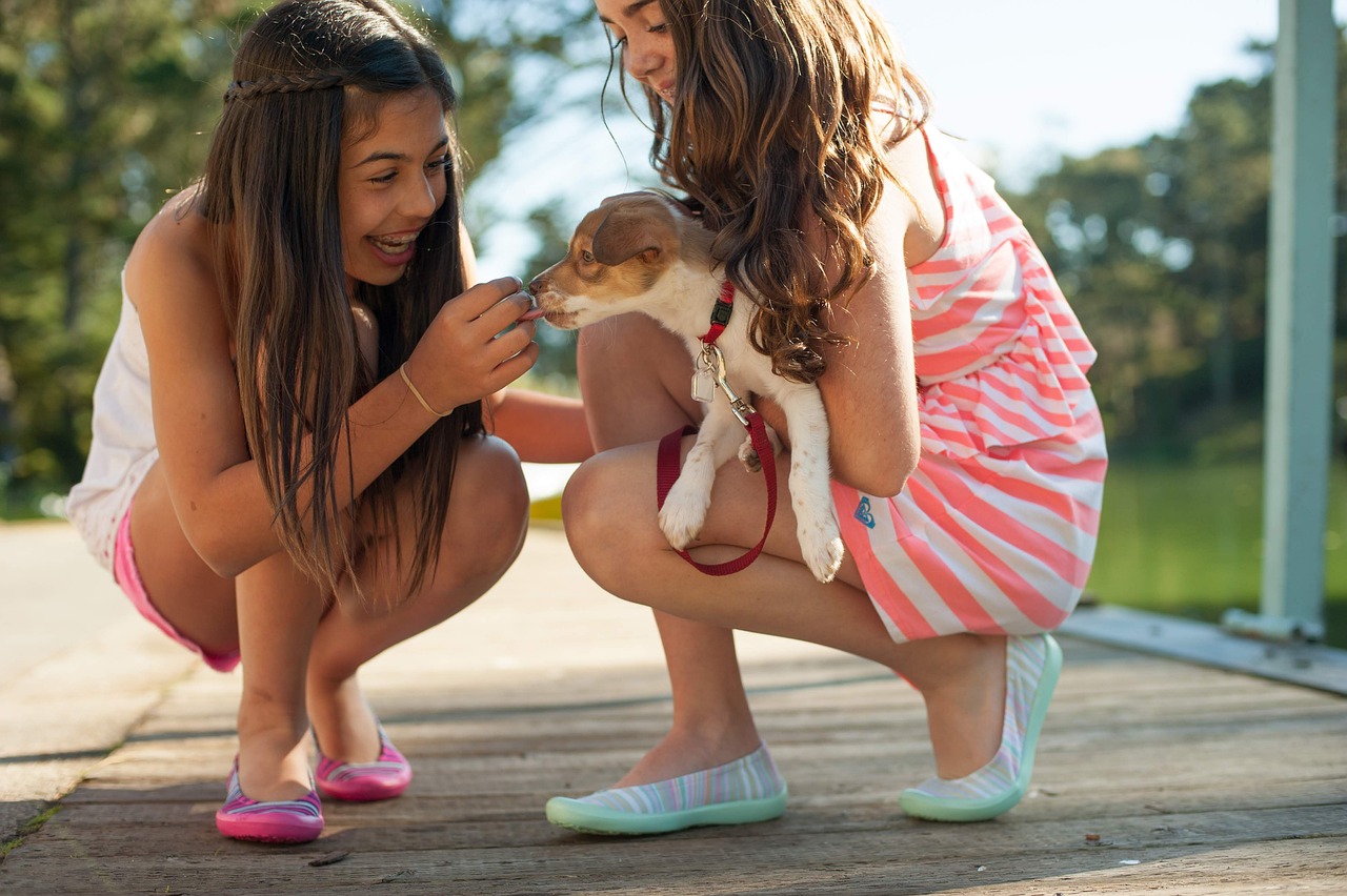 Puppy Training – Image 2