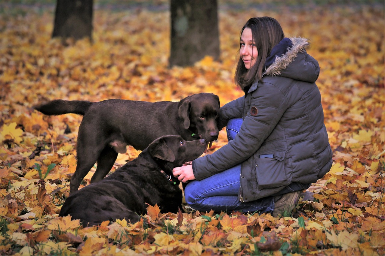 Dog Health & Nutrition – Image 3