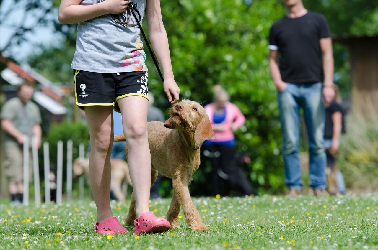 Dog Health & Nutrition – Image 3