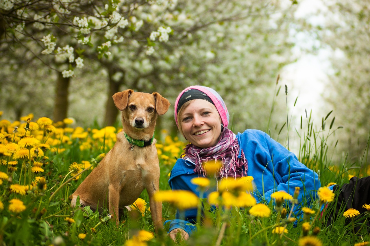 Dog Health & Nutrition – Image 4