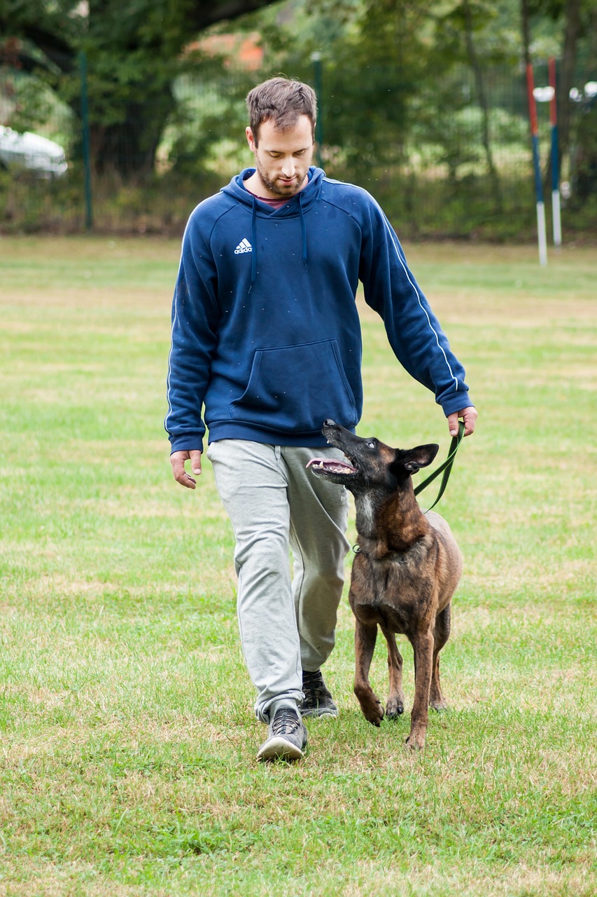 Dog Health & Nutrition – Image 2