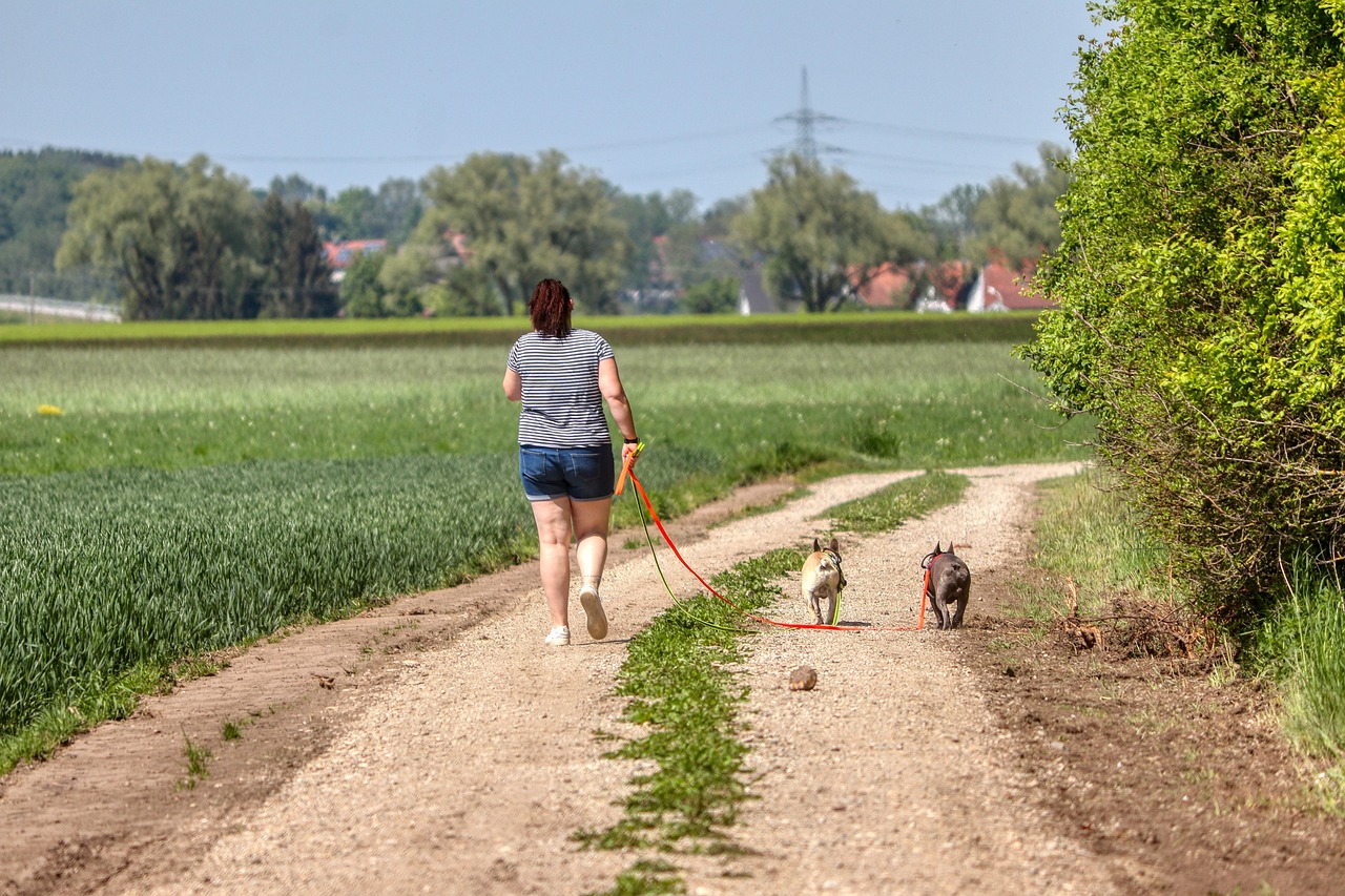 Dog Health & Nutrition – Image 3
