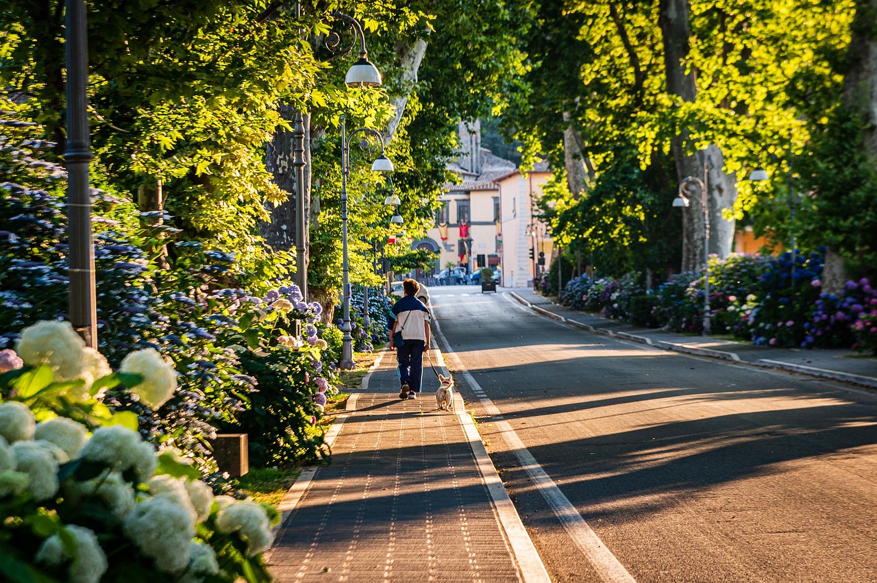 Behavioral Dog Training – Image 4