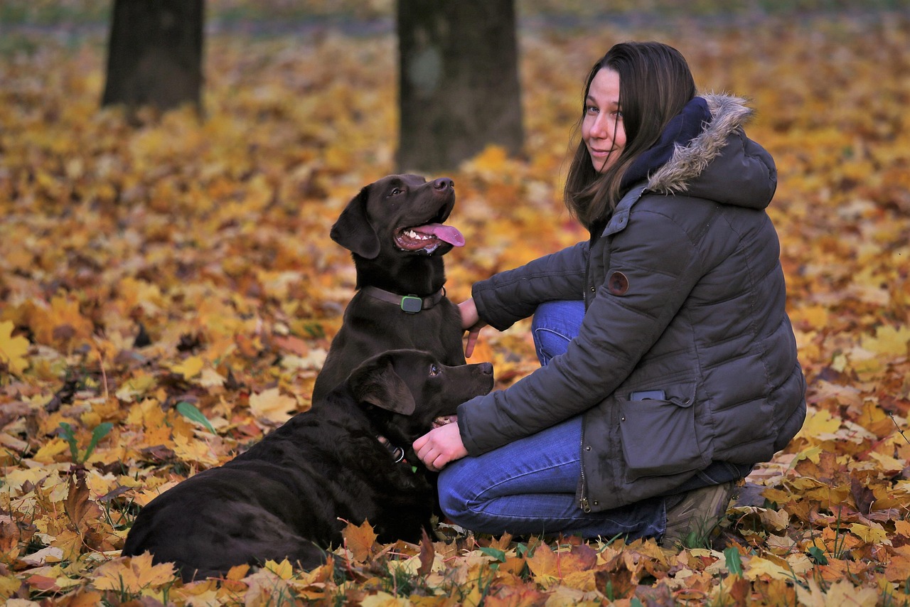 Dog Health & Nutrition – Image 4