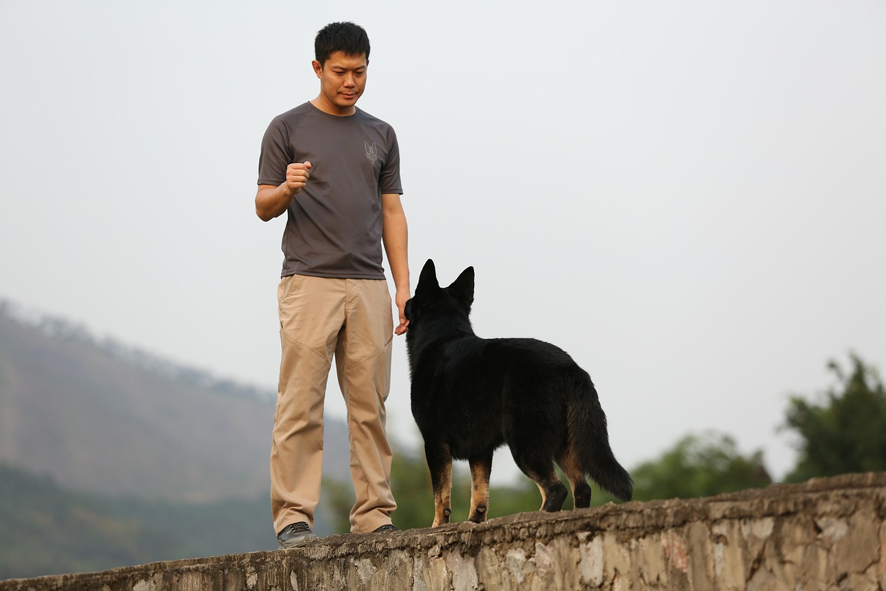 Dog Health & Nutrition – Image 2